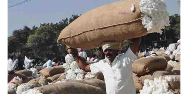Global Cotton Rally, Delayed Monsoon Lift India Cotton Prices